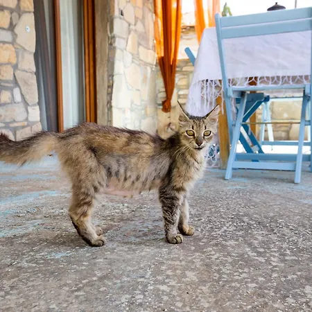 Mountain * Maries (Thasos)