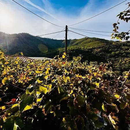 Mountain Maries (Thasos)