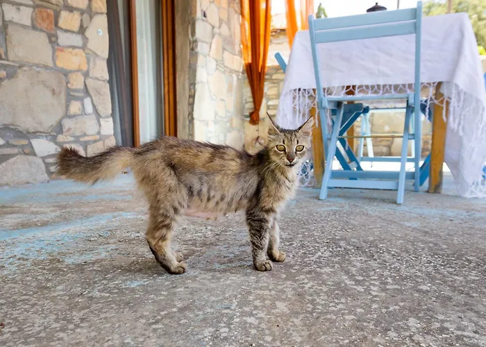 Mountain * Maries (Thasos)