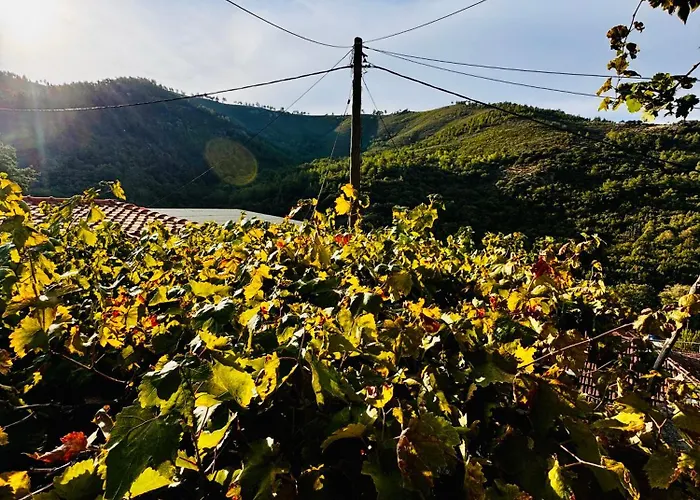 Mountain Maries (Thasos)